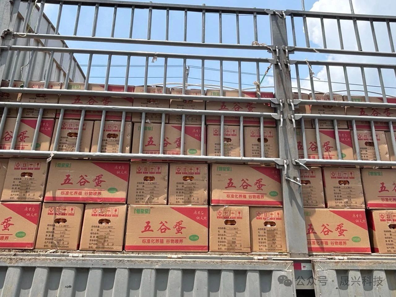 养鸡设备